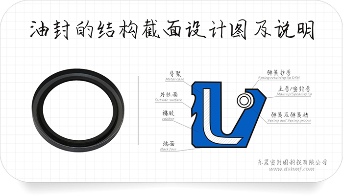 油封的結(jié)構(gòu)截面設(shè)計圖及密封件說明和密封圈產(chǎn)品實圖