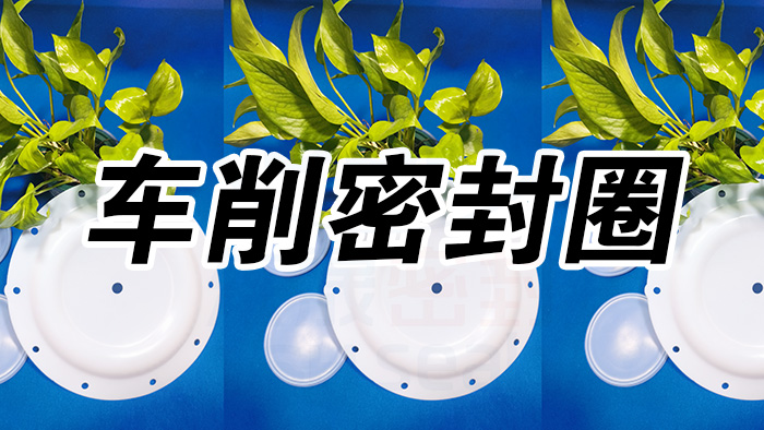 2車削密封圈，氣動(dòng)隔膜泵膜片密封件